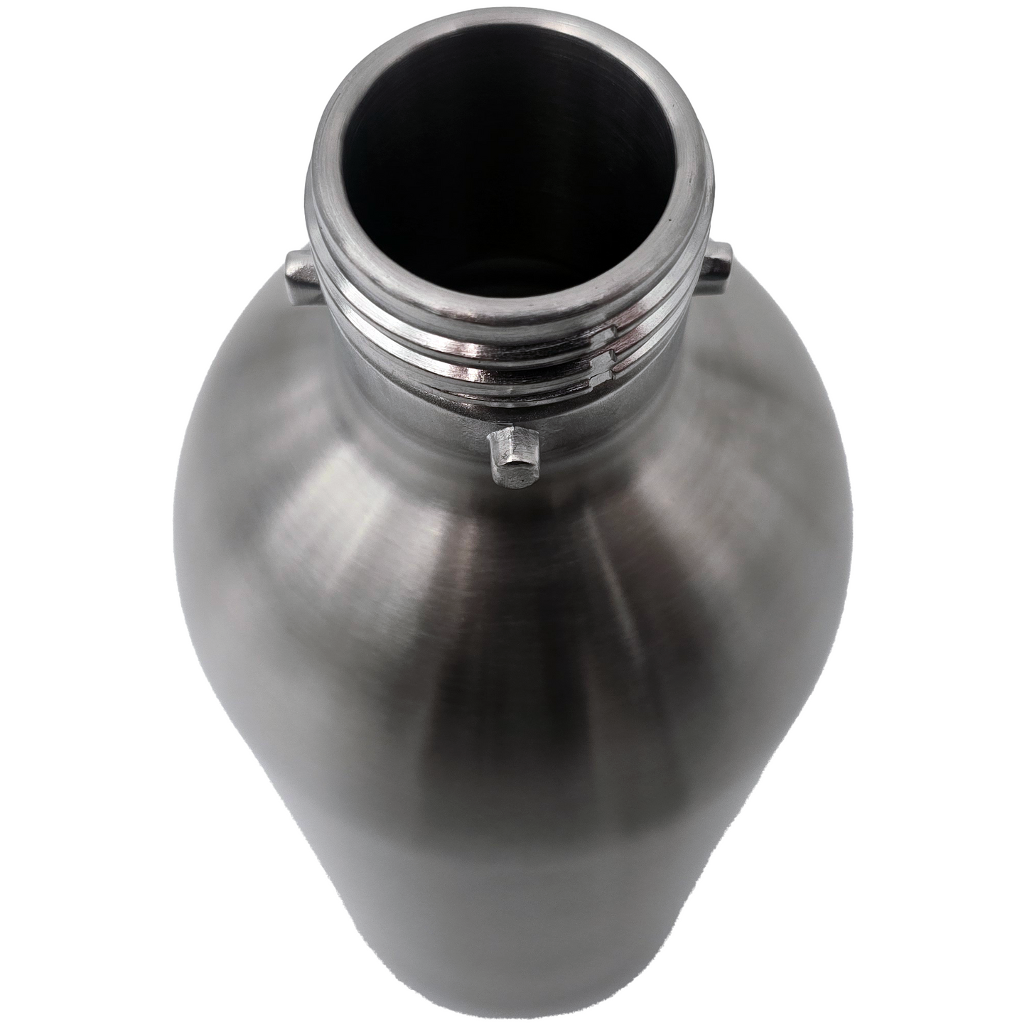 1L Stainless Steel Carbonation Bottle, Compatible with Standard Fizz Infuser